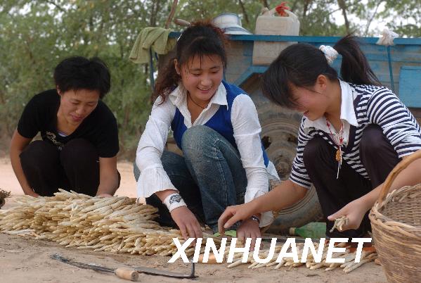 女人达到巅峰时表情图_农民人均纯收入达到(2)