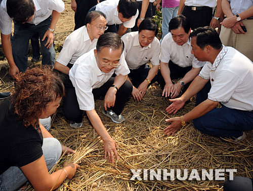 9月1日,温家宝在德阳市孝泉镇涌泉村视察农业生产情况,向抢种洋芋的村民询问洋芋的种植方法、产量和收入情况。 中共中央政治局常委、国务院总理、国务院抗震救灾总指挥部总指挥温家宝近日来到四川地震灾区,慰问受灾群众,了解灾区群众安置和恢复重建情况,对下一步工作做出部署。 新华社记者 黄敬文摄