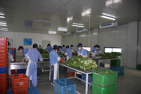 超市配送蔬菜包装--磐安新闻网