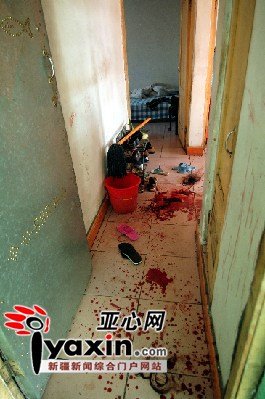 ͼ:�·��ֳ������������� ��÷�� ��