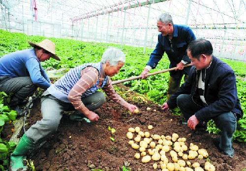 义乌上市公司_浙江义乌上市公司_义乌有哪些