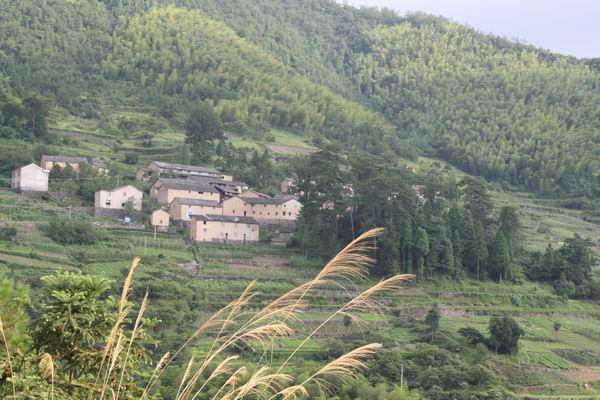 特色旅游村(三-磐安新闻网