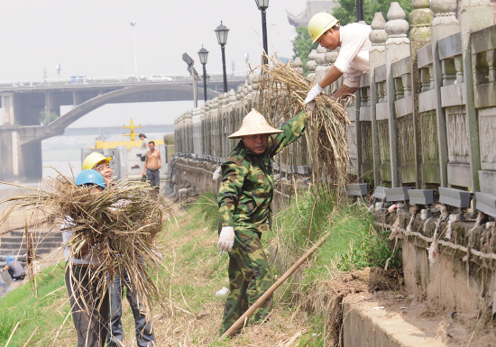 白沙草江人口_白沙烟