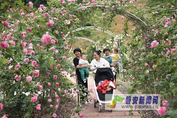 沙溪婚纱摄影_沙溪古镇(3)